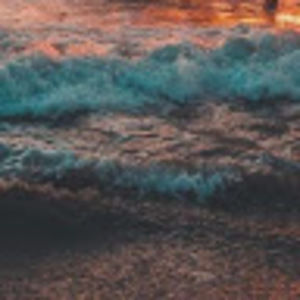 Meet your Posher, Paige